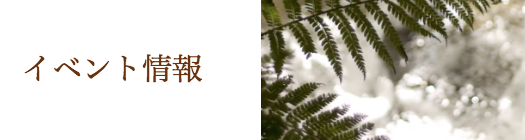 イベント情報