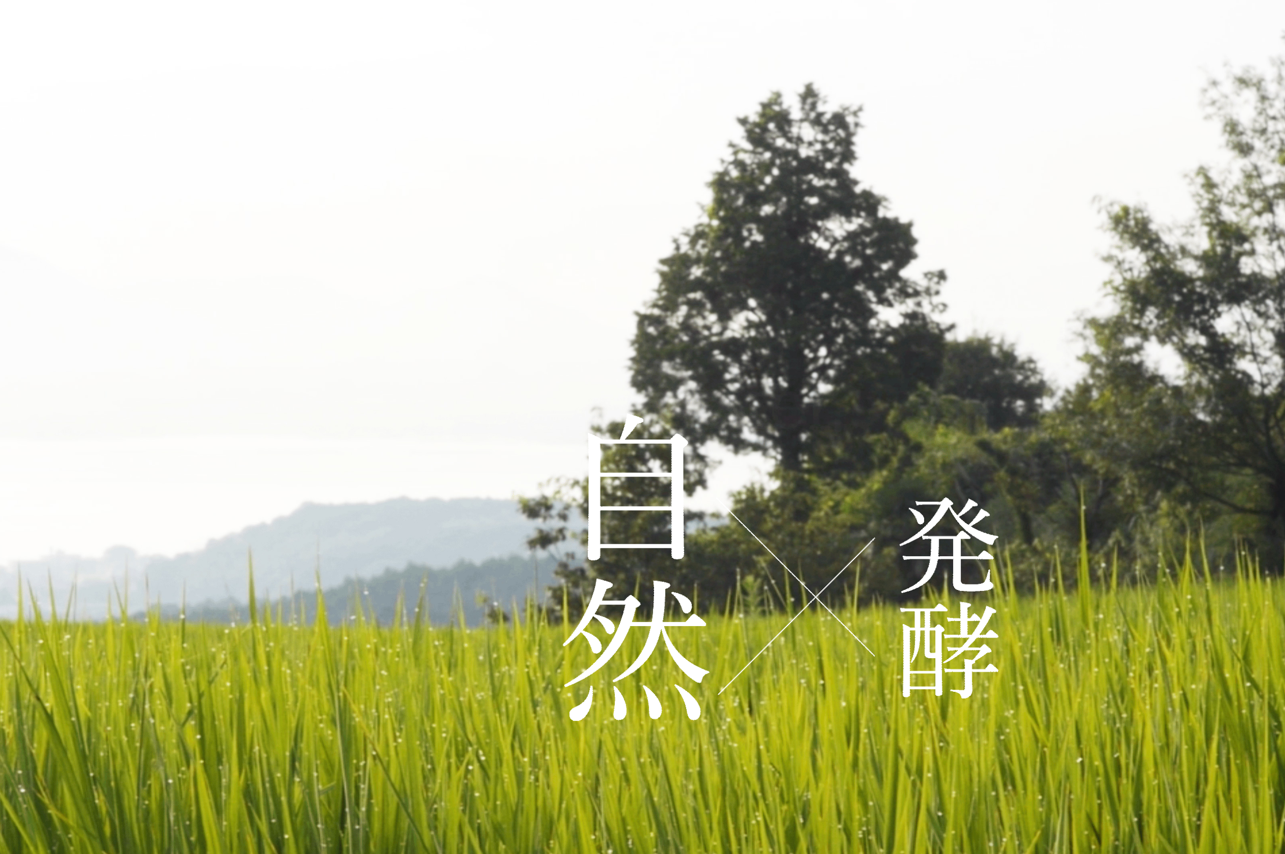 img02.png